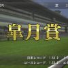 三冠・シリーズ対象レース・５大ダービー-WP8-2017